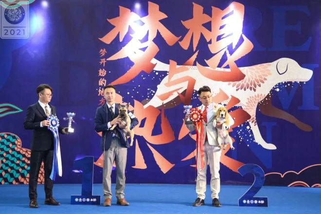 包含压轴之战！国际盛会拉开帷幕，双方实力堪比！的词条