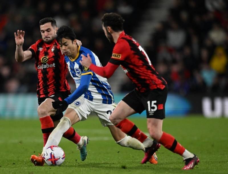 包含布莱顿备战伯恩茅斯，球队战术逐渐成熟的词条